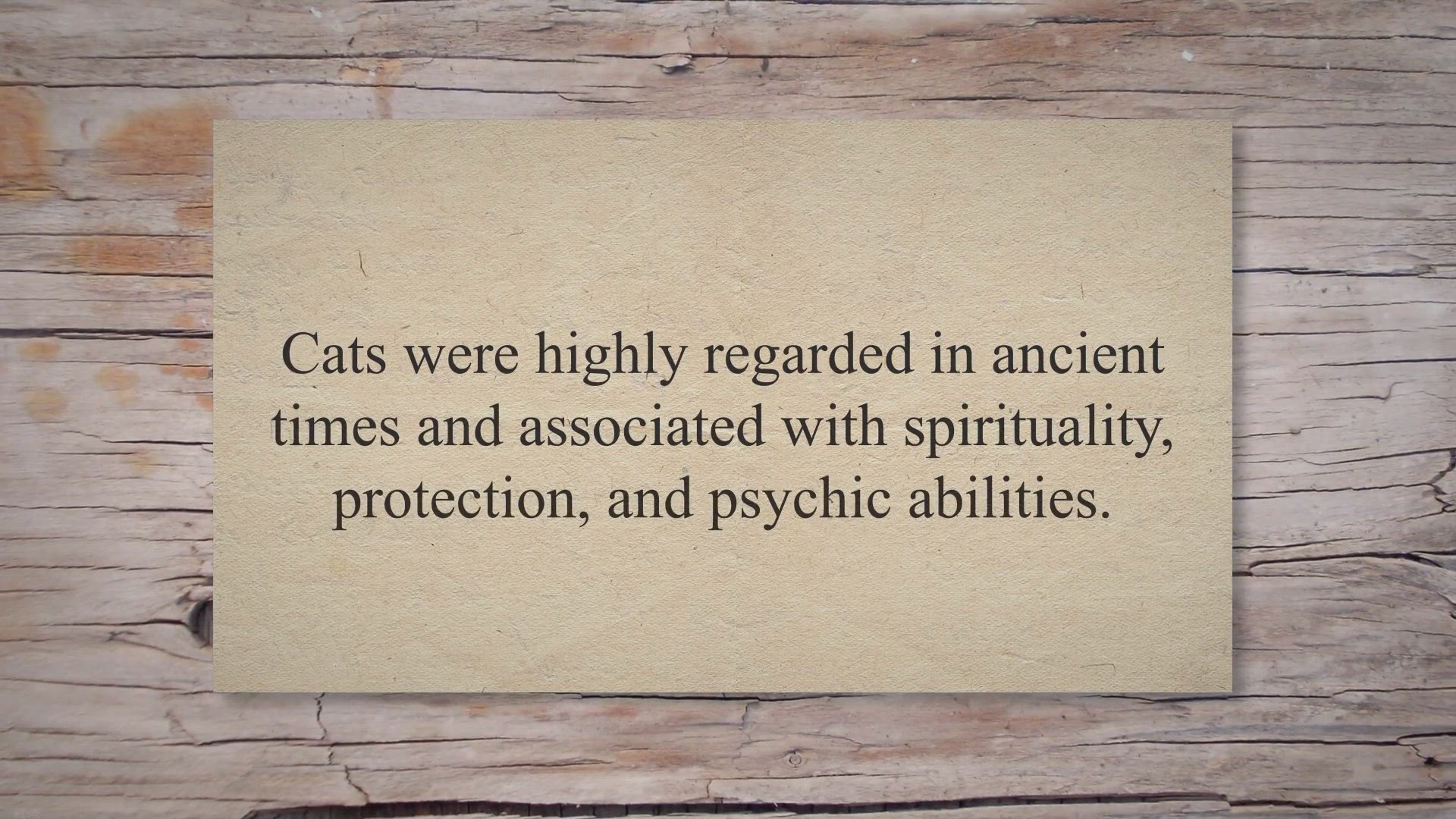 Video thumbnail for The Spiritual Meaning of a Cat Crossing Your Path