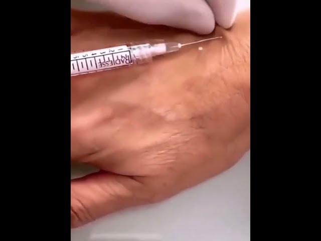 Video thumbnail for August 12, 2025