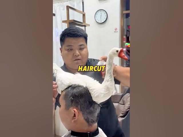 Video thumbnail for This Haircut Is 100% Organic—You Won’t Believe It #funny #storymoment #viralvideos