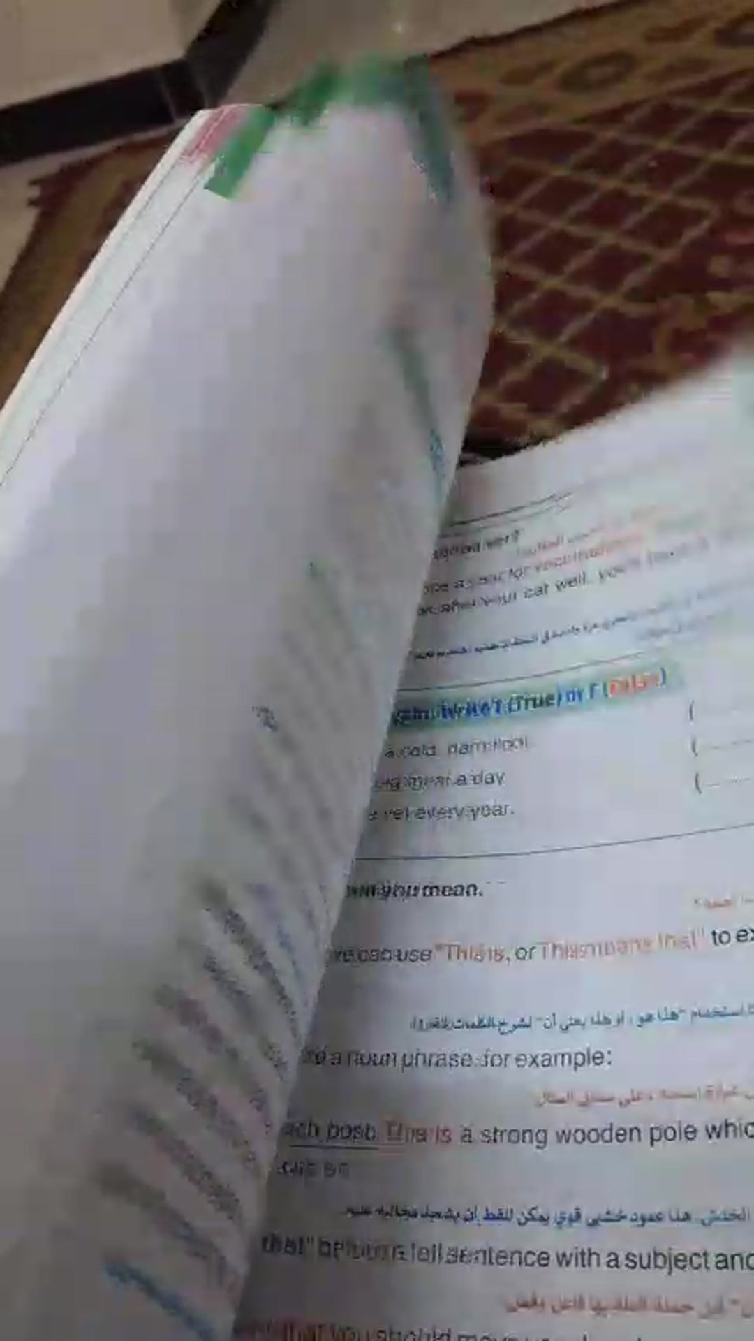 Video thumbnail for VID 20241005 WA0001