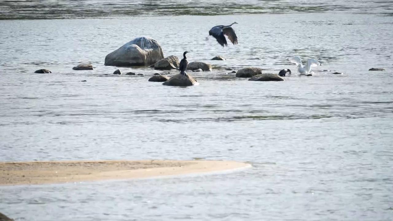 Video thumbnail for Vistula river remains at critically low levels as hydrological drought continues.