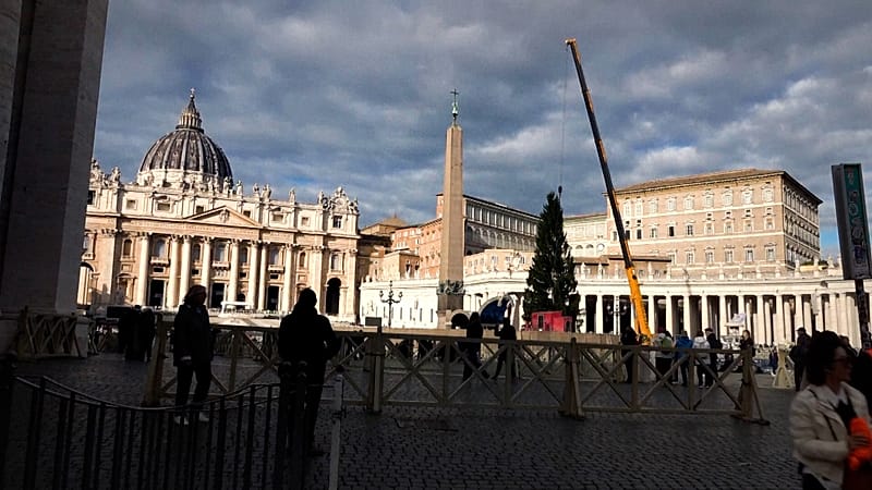 Video thumbnail for Vatican welcomes 27-metre Norway spruce in St Peter’s Square