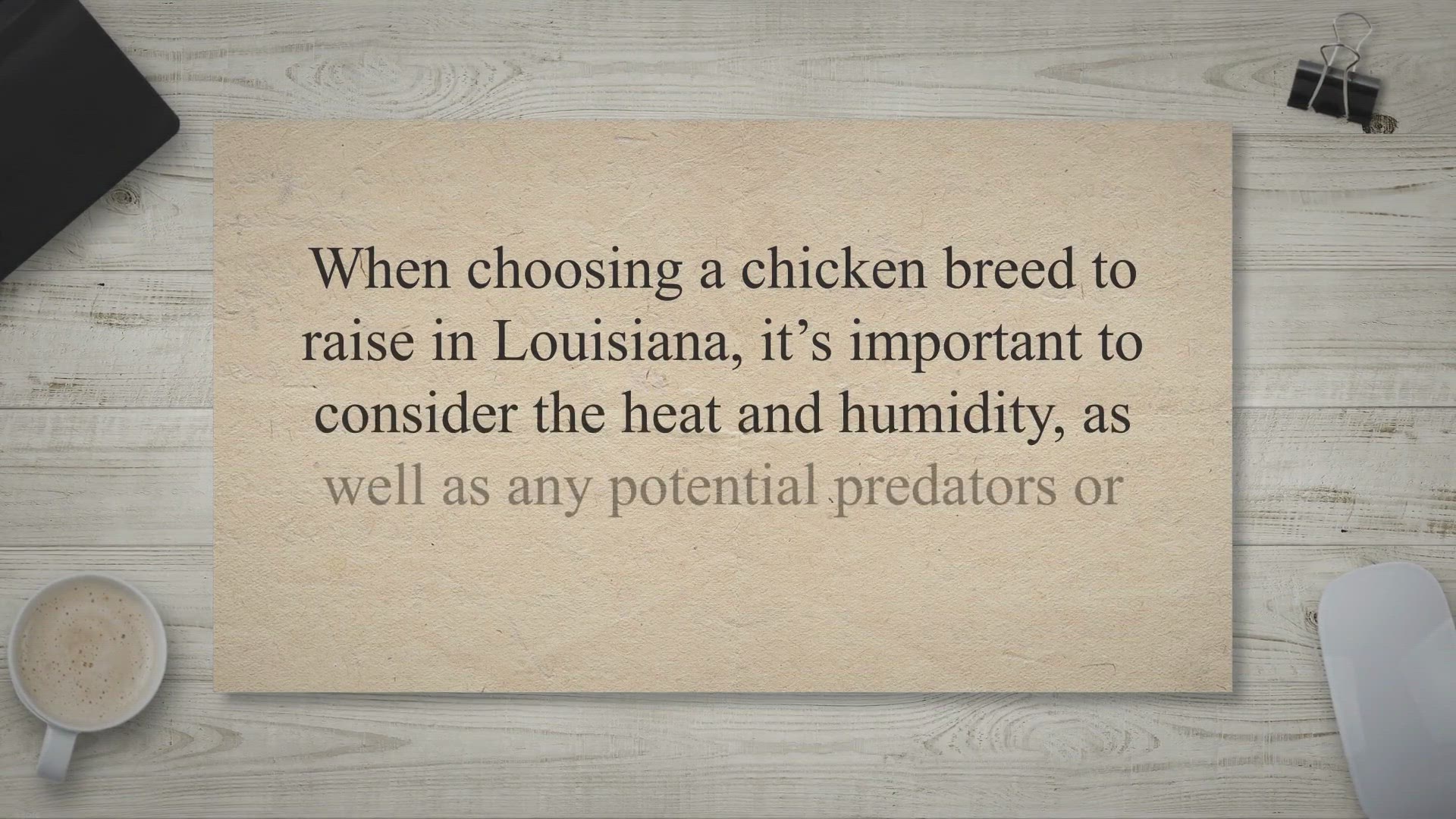 Video thumbnail for The Top Chickens for Louisiana: Heat-Hardy and Egg-cellent!
