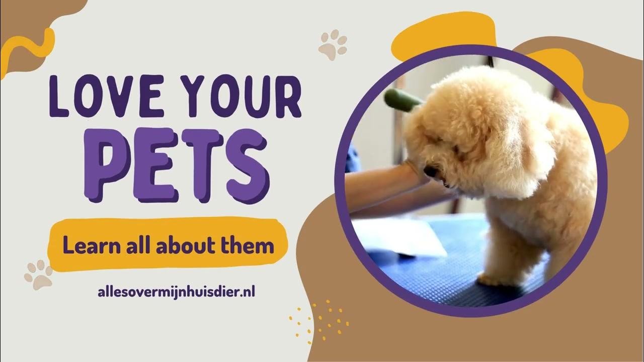 Video thumbnail for Embark on a journey to understand and care for our beloved pets