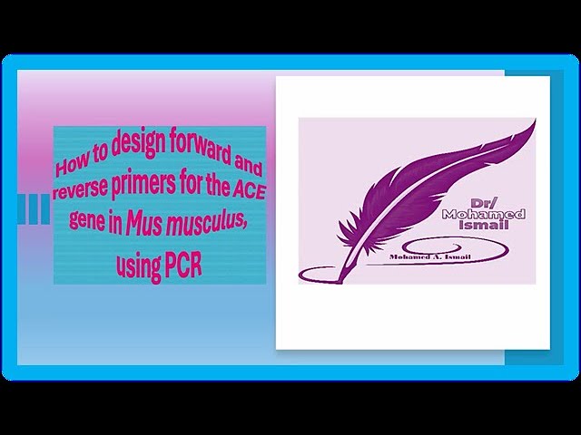 Video thumbnail for How to design forward and reverse primers of the ACE gene for use in PCR, by Dr/Mohamed Ismail