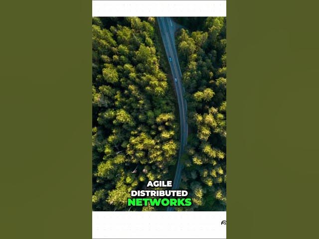 Video thumbnail for Rethinking Logistics: Ditch Mega Hubs, Build Agile Supply Chains! #shorts