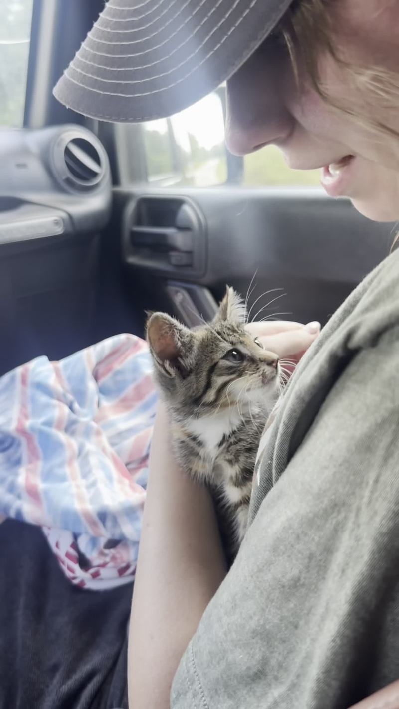 Video thumbnail for Tiny Talladega Kitten Rescued from a Tree