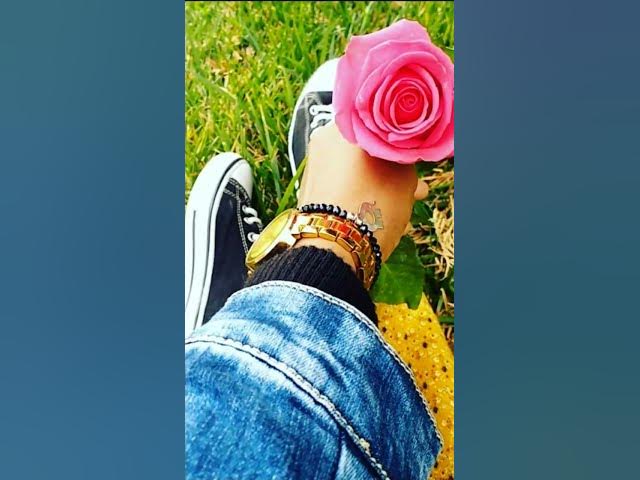 Video thumbnail for #music #beats #remix  my favourite flower