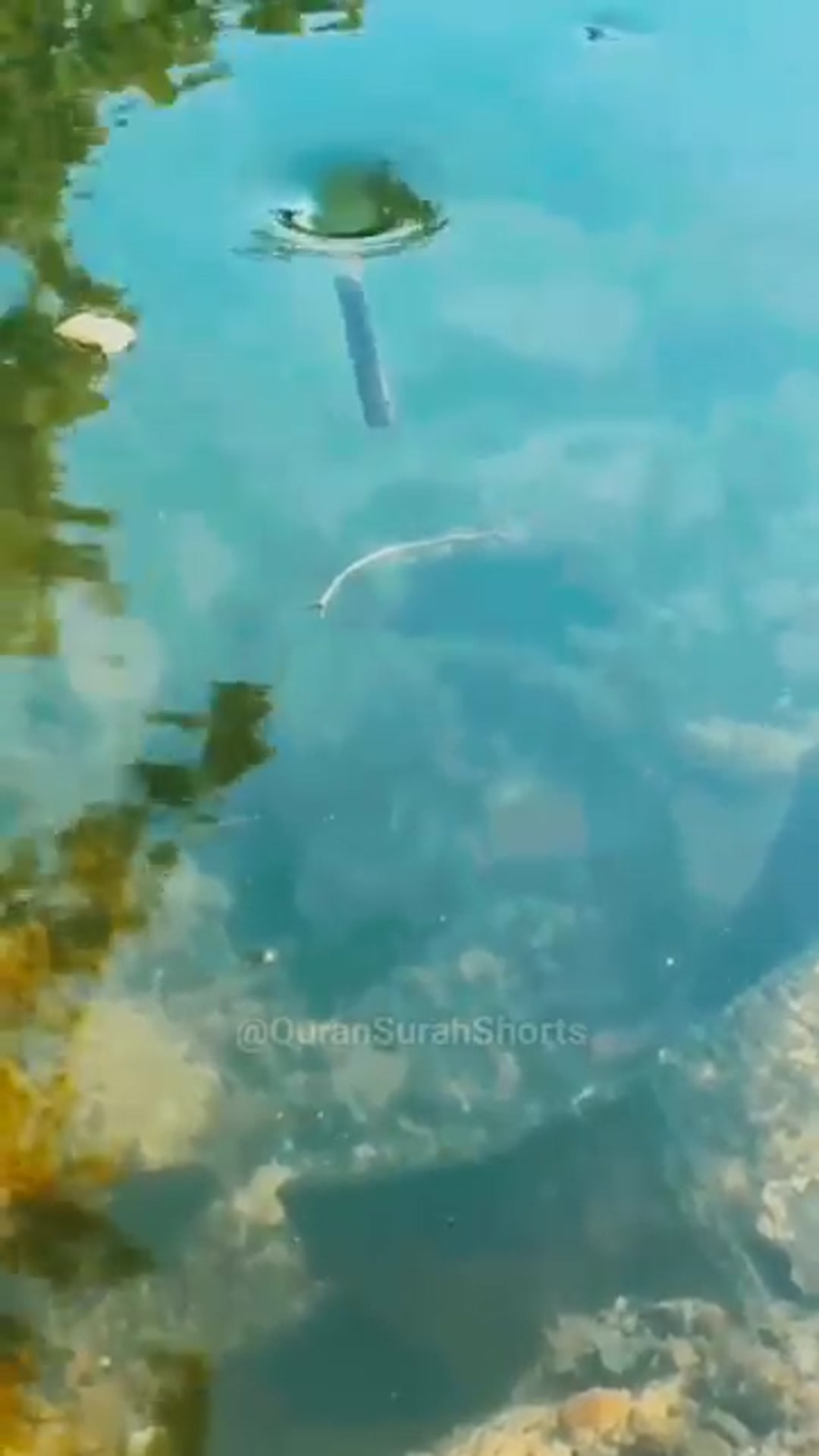 Video thumbnail for Quran-The-Voice-of-Egzon-Ibrahimi-Recita_76