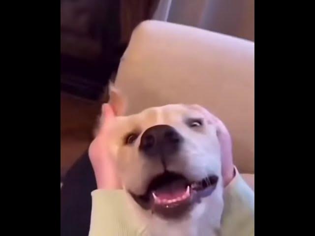 Video thumbnail for bro