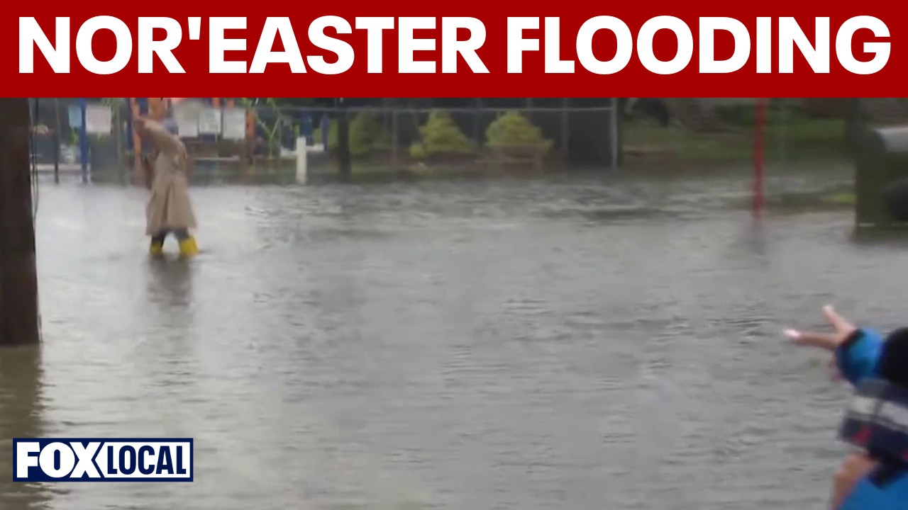 Video thumbnail for High tide flooding swamps Riverside Boulevard in Long Beach