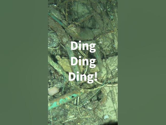 Video thumbnail for A Century-Old Secret Revealed, HMS Negro