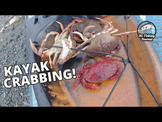 Video thumbnail for Kayak CRABBING 🦀 Pacific Northwest Crabbing