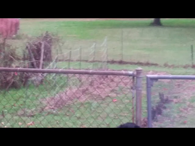 Video thumbnail for November 10, 2017