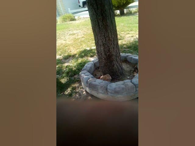 Video thumbnail for July 26, 2022