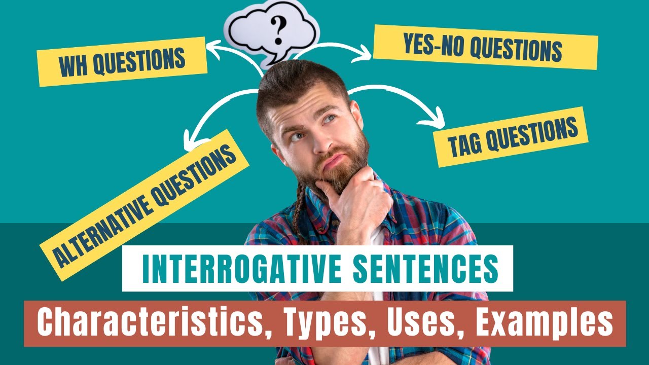 'Video thumbnail for Questions/Interrogative Sentences in English || Grammar'