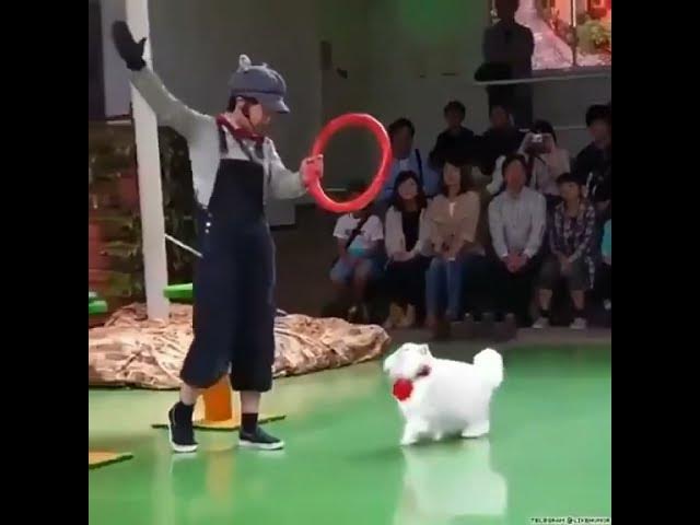 Video thumbnail for July 27, 2021