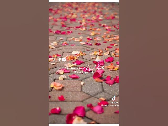 Video thumbnail for March 14, 2024