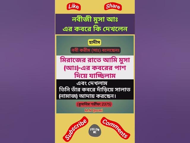 'Video thumbnail for নবীজী মুসা আঃ এর কবরে কি দেখলেন? #হাদিস #হাদিস_শরিফ #হাদিসের_আলো #হাদিসের_কথা #hadith #hadis #hades'
