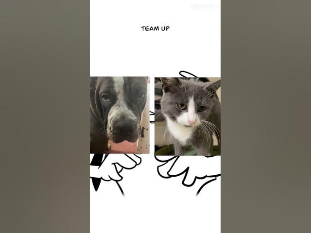 Video thumbnail for 10 October 2025