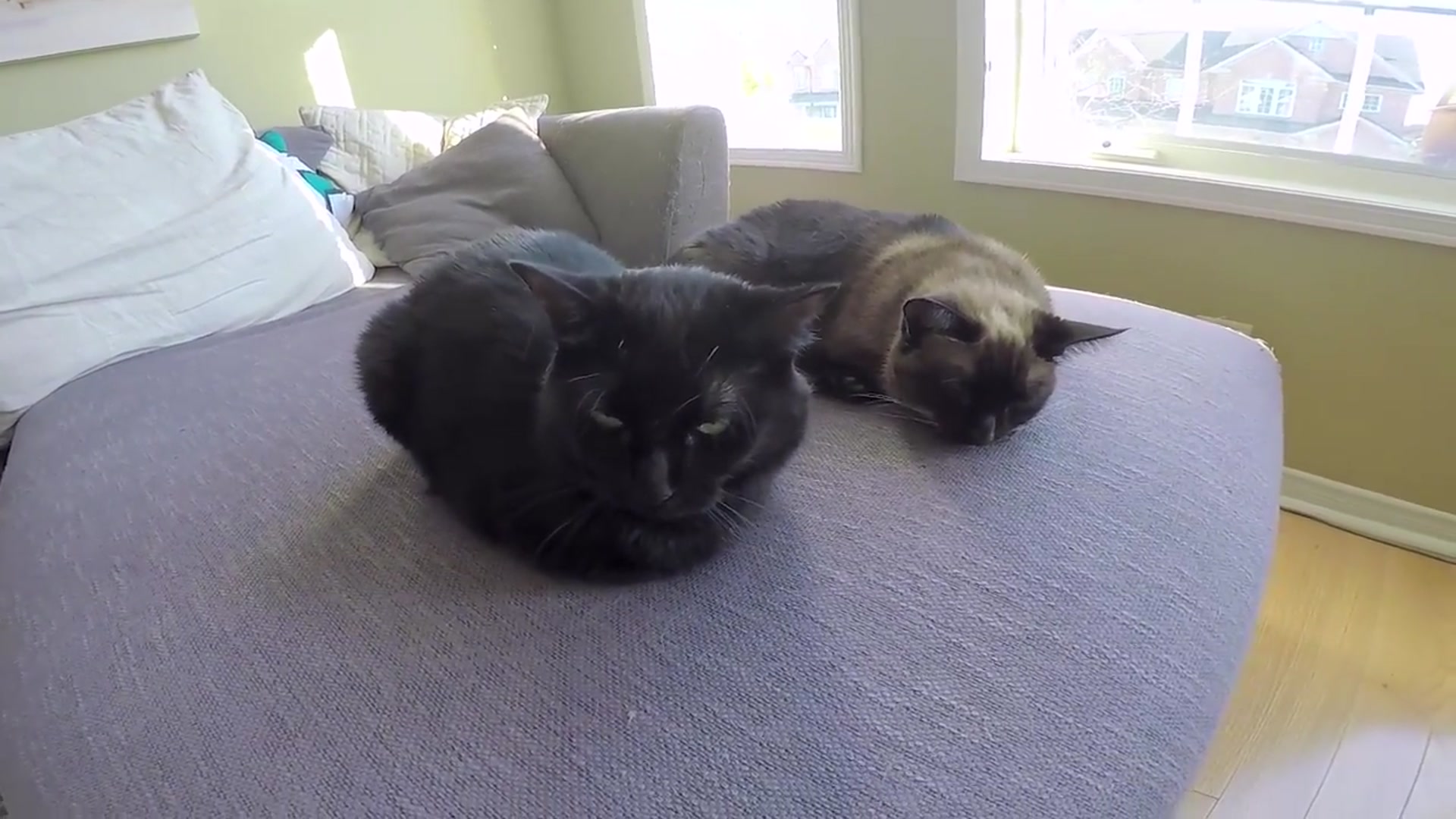 Video thumbnail for Clean My Entire House With Me _ Power Hour Speed Cleaning(720P_60FPS)