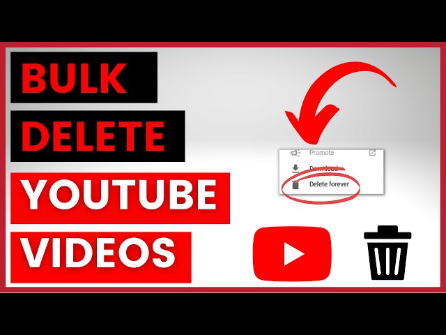 Video thumbnail for How To Bulk Delete Multiple Or All YouTube Videos Of A YouTube Channel? [in 2025]