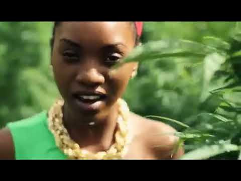 Video thumbnail for Hempress Sativa