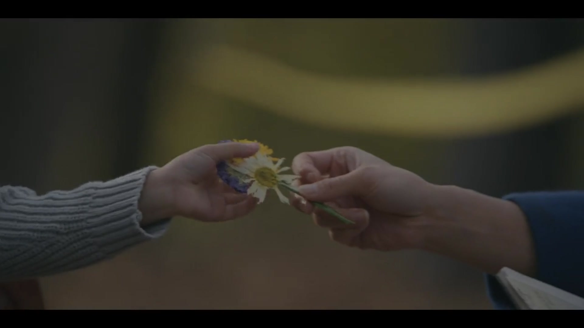 'Video thumbnail for Motherland - Official Trailer'