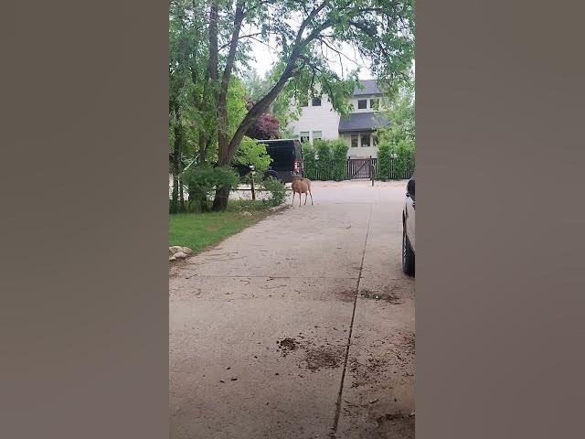 Video thumbnail for June 2, 2025