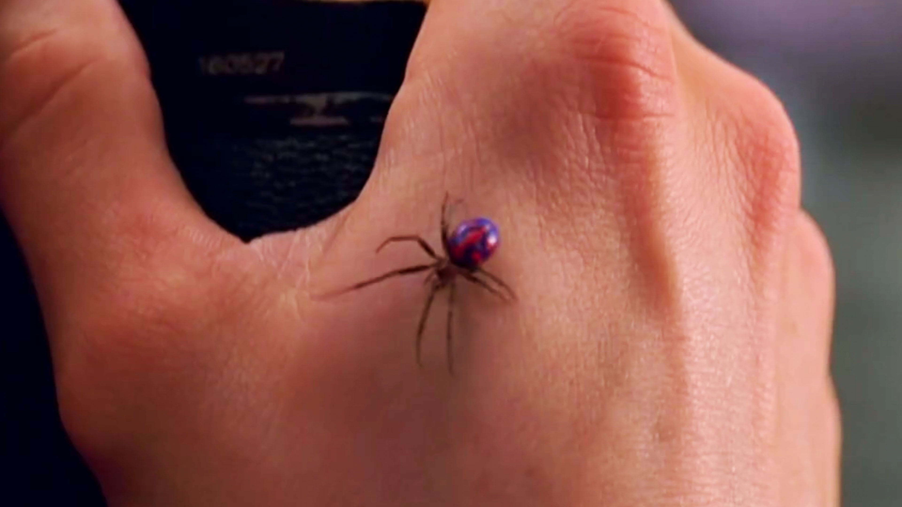 Video thumbnail for 'What If' scenarios in Marvel films!