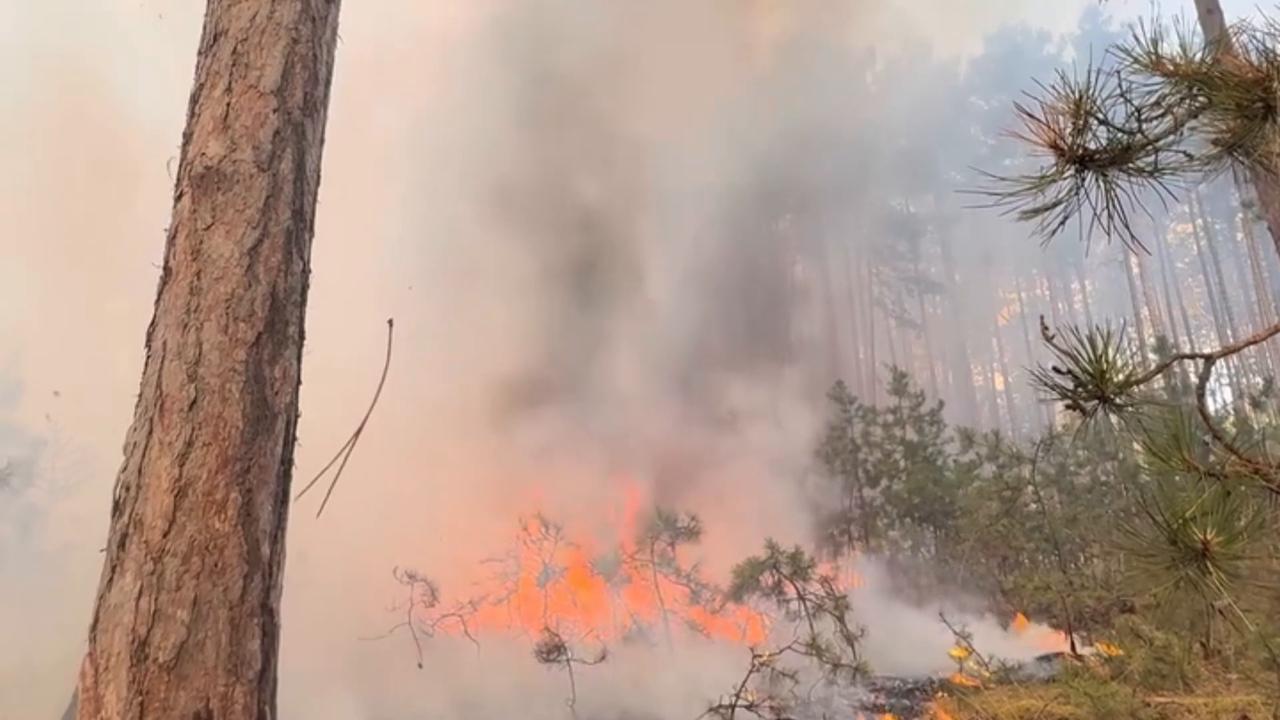 Video thumbnail for Austria: Firefighters battle wildfire in Austria's Föhrenwald.