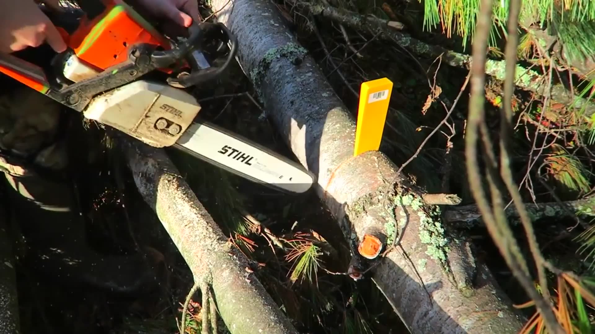 'Video thumbnail for 10 Firewood Gadgets put to the Test'