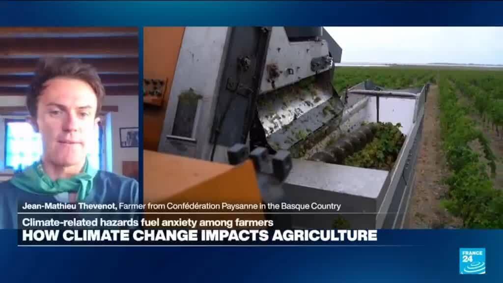 Video thumbnail for French farmers 'heavily impacted' by climate crisis, both psychologically and economically.