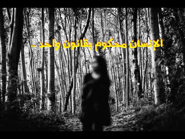 Video thumbnail for غابة؟  🖤 | #حديث_بربري (5)