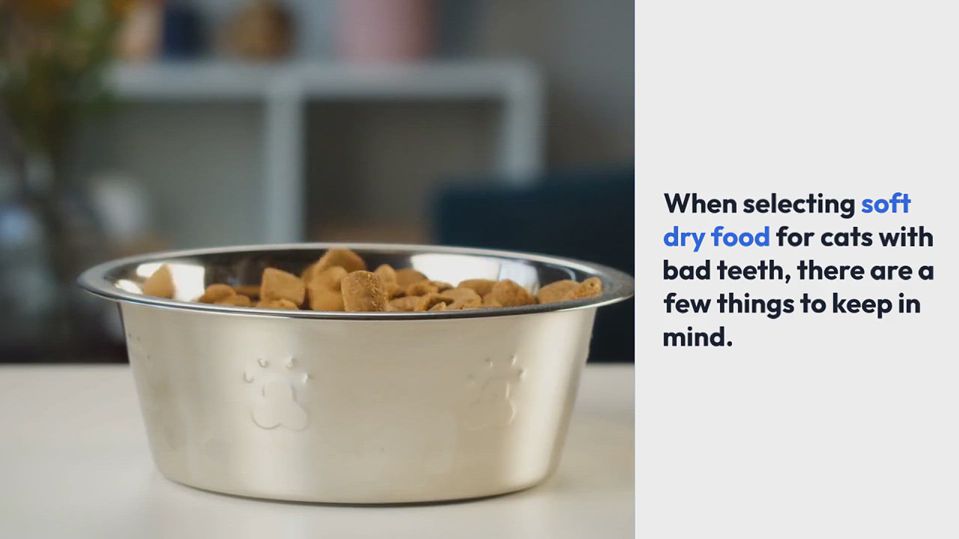 Video thumbnail for Soft Dry Food For Cats With Bad Teeth (And Picky Taste Buds)