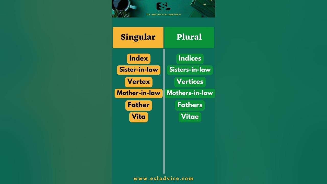 'Video thumbnail for Singular VS Plural Nouns || Part 6 ||  ESL Advice'
