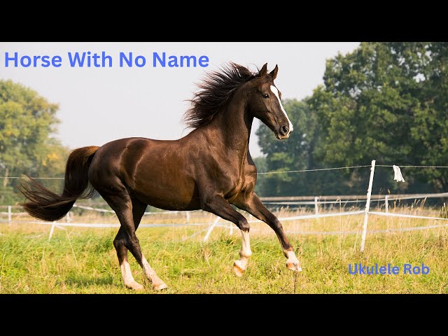 Video thumbnail for Horse With No Name [Baritone Ukulele ] cords & lyrics in Description.