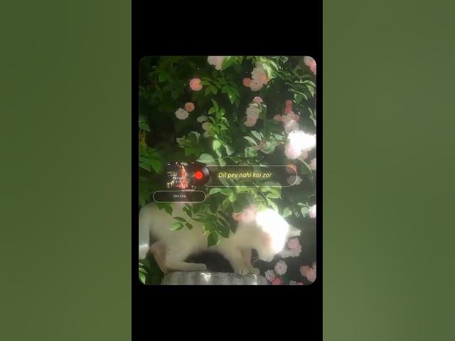 'Video thumbnail for hello world 25'