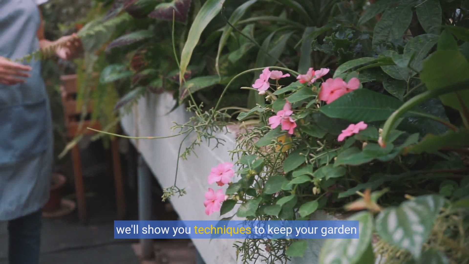 'Video thumbnail for Winter Gardening Wonders: Extend Your Growing Season!'