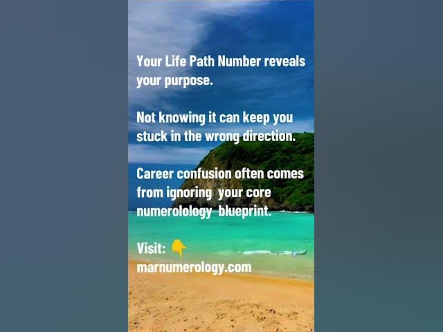 Video thumbnail for Your Life Path Reveals Your Purpose #numerology #lifepath #numbers #birthday