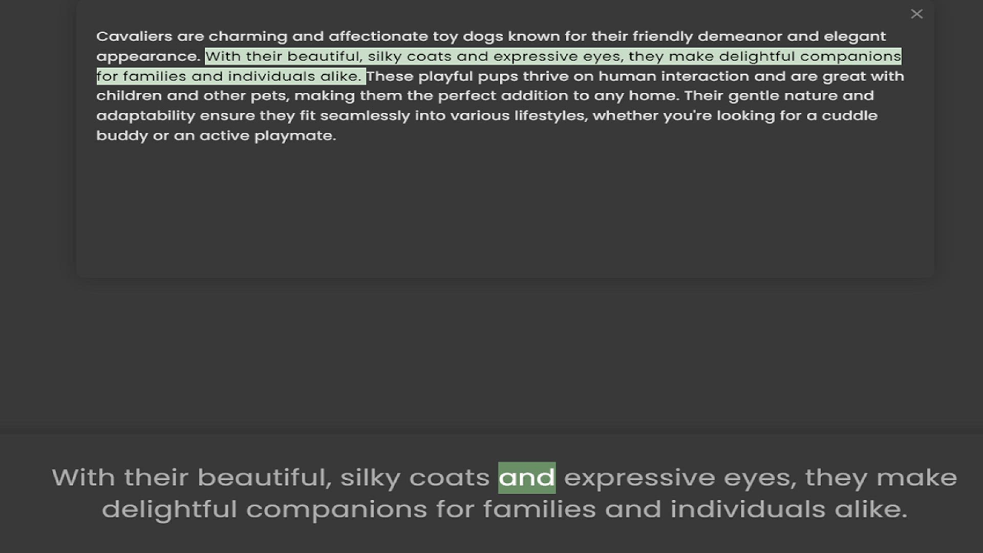 Video thumbnail for Cavaliers are charming and affectionate toy dogs known for their friendly demeanor and elegant appearance. With their beautiful, silky coats and expressive eyes, they make delightful companions for families and individuals alike. These pl