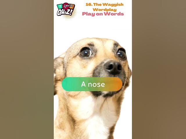 Video thumbnail for 🔥 25 Cheeky Riddles That'll Tickle Your Funny Bone! 😜 | Can You Handle the Wit? 16