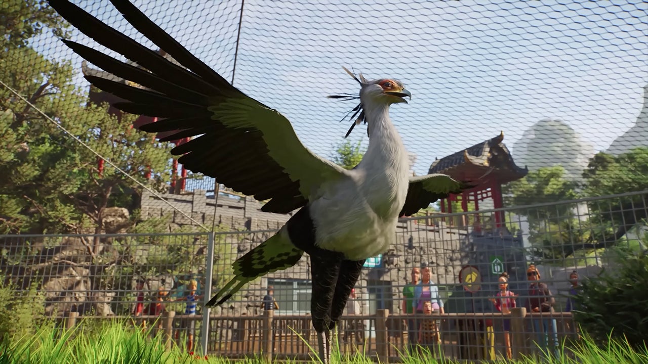 Video thumbnail for Planet Zoo 2 - Official Feature Focus: Frequent Flyers Trailer