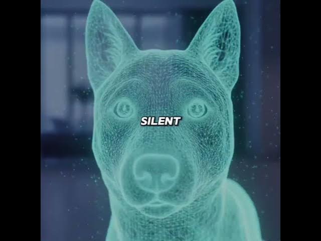 Video thumbnail for Psychology says dogs and cats can actually sense human sadness,