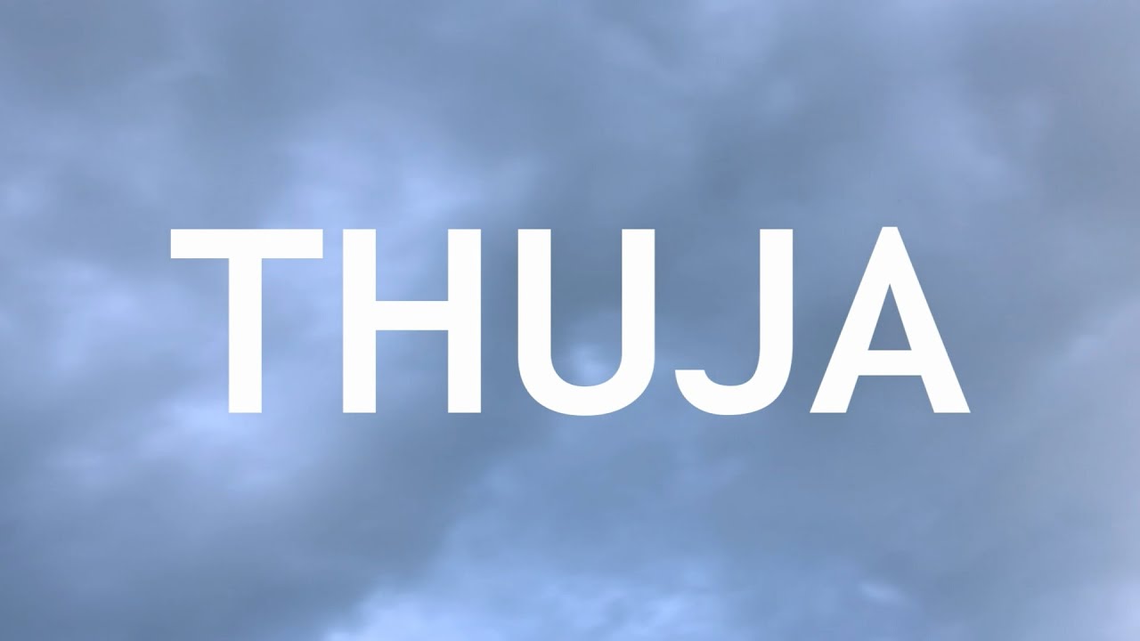 Video thumbnail for Thuja Bonsai, From an Airlayer, 1