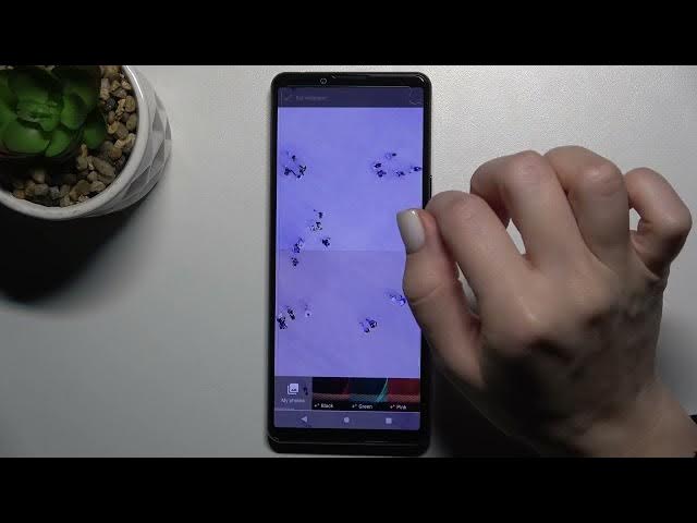 Video thumbnail for How to Manage Wallpaper Settings on Sony Xperia 5 III - Change Lock Screen Wallpaper