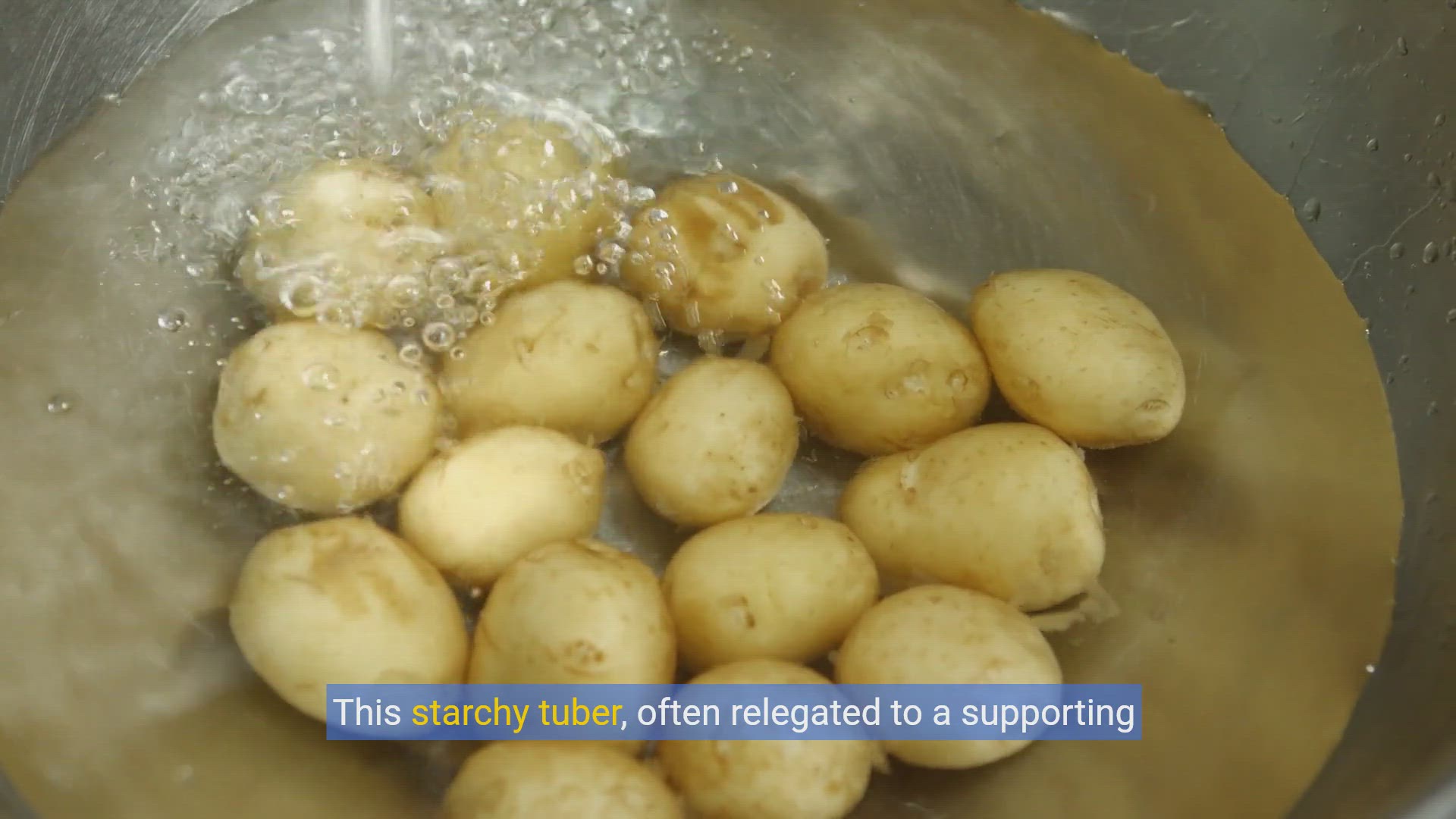 'Video thumbnail for Ultimate Baked Potato Guide: From Classic to Creative'