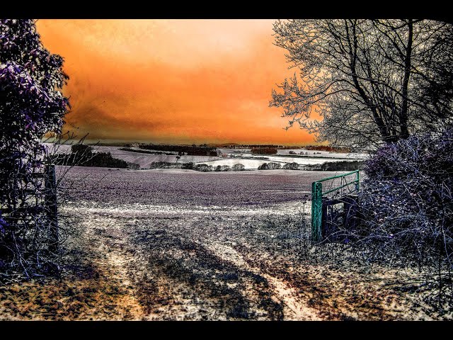 Video thumbnail for SNOWSCENES AROUND ALNWICK