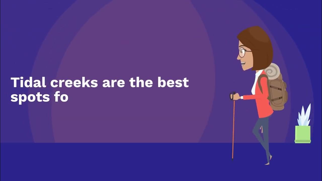 Video thumbnail for Flounder Fishing In Florida