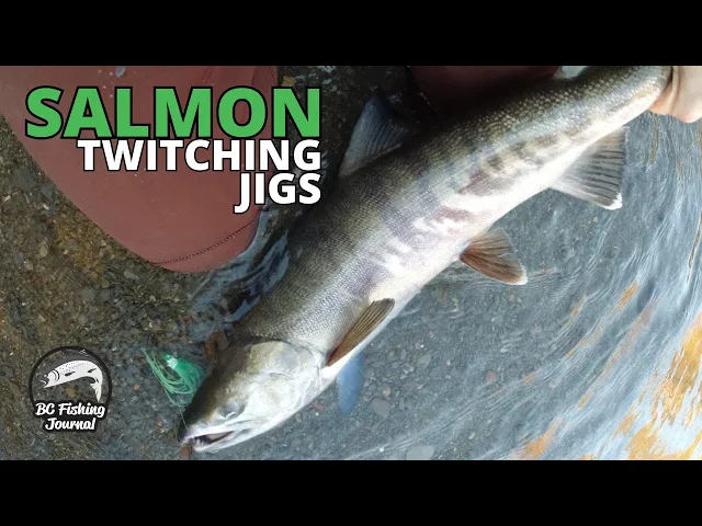 Video thumbnail for Twitching Jigs for SALMON and UNDERWATER video